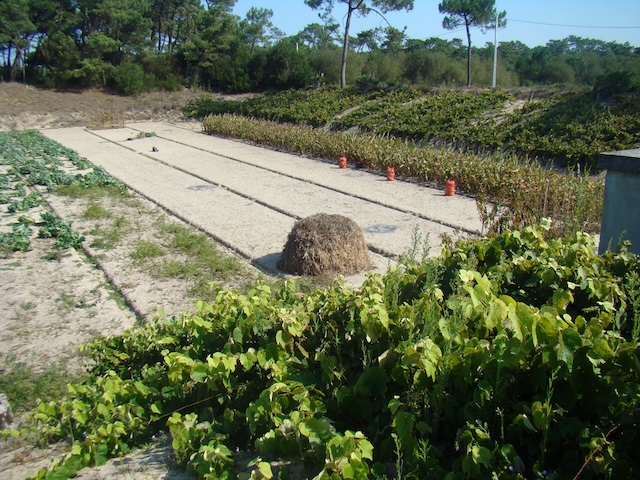 Atrações naturais
