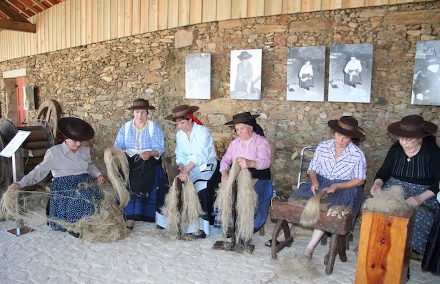 Cultura & Exposições