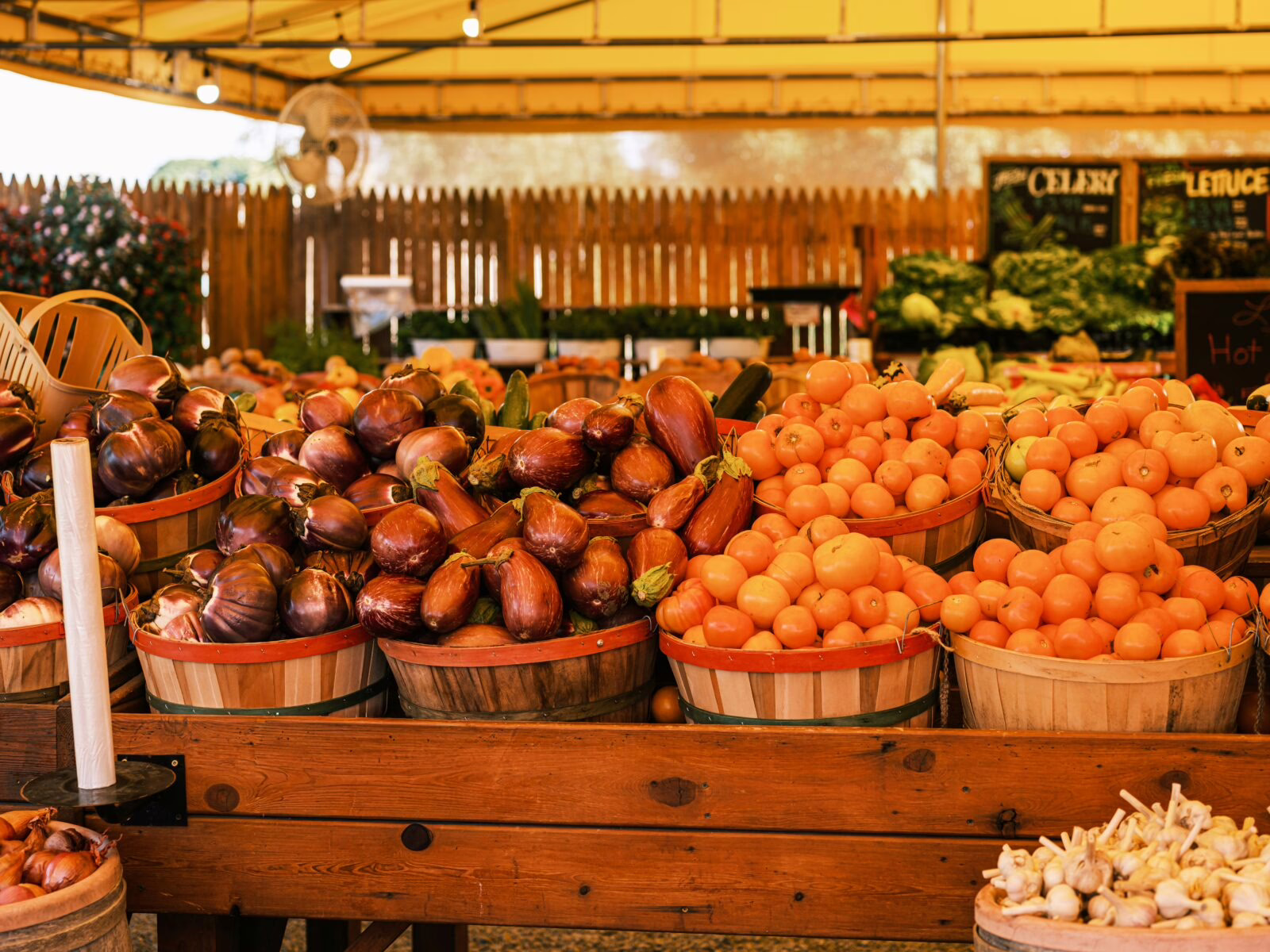 Mercados e comércio local: o lado vivido da cidade